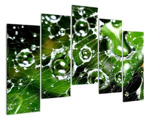 Kvapky vody - obrazy (Obraz 125x90cm)