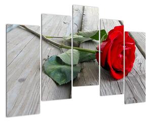 Obraz ruže (Obraz 125x90cm)