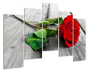 Ruža červená - obraz (Obraz 125x90cm)
