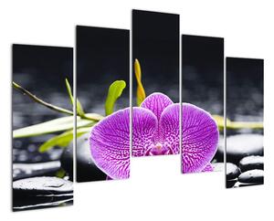 Kvet orchidey - obraz (Obraz 125x90cm)