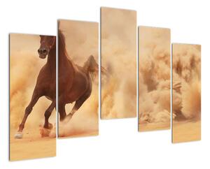 Cválajúci kôň - obraz (Obraz 125x90cm)