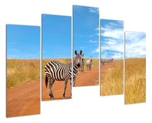 Zebra na ceste - obraz (Obraz 125x90cm)