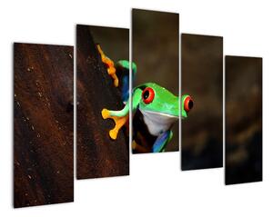 Žaba - obraz (Obraz 125x90cm)