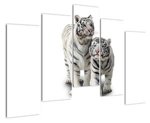 Tiger biely - obraz (Obraz 125x90cm)