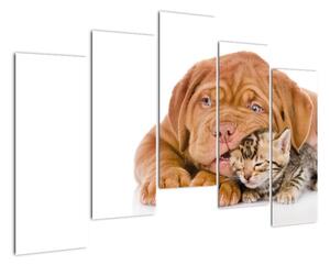 Šteňa a mačiatko - obraz (Obraz 125x90cm)