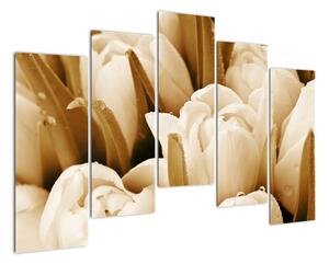Obraz tulipánov (Obraz 125x90cm)