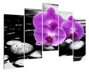 Obraz orchideí (Obraz 125x90cm)