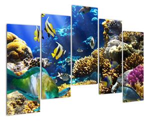 Podmorský svet - obraz (Obraz 125x90cm)