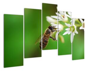 Fotka včely - obraz (Obraz 125x90cm)