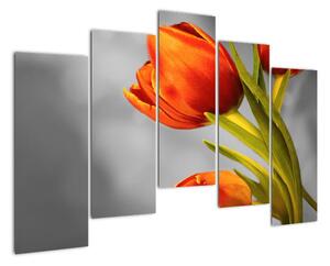 Obraz tulipánov (Obraz 125x90cm)