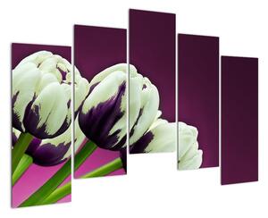 Makro tulipánov - obraz (Obraz 125x90cm)