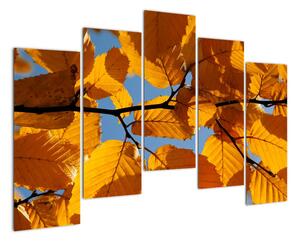 Jesenné lístie - obraz (Obraz 125x90cm)