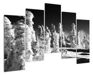 Obraz - zimné hory (Obraz 125x90cm)