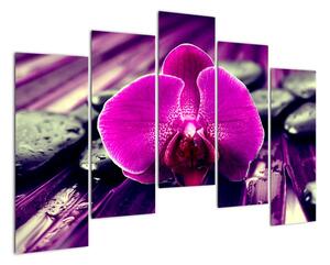 Obraz orchidey (Obraz 125x90cm)