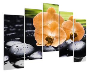 Kvet orchidey - moderný obraz (Obraz 125x90cm)