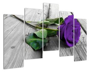 Obrazy kvetov - ruža (Obraz 125x90cm)