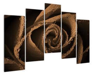 Detail ruže - obraz (Obraz 125x90cm)