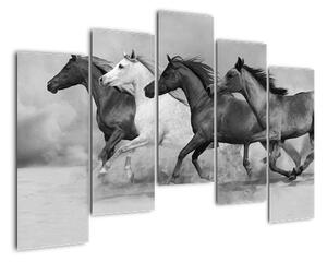 Obraz cválajúci koňov (Obraz 125x90cm)
