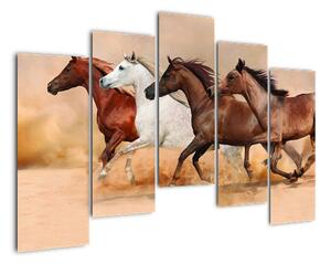 Obraz kôň (Obraz 125x90cm)