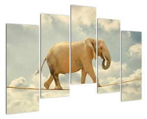 Slon na lane, obraz (Obraz 125x90cm)