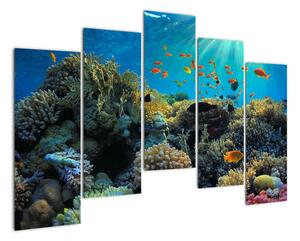 Obraz podmorského sveta (Obraz 125x90cm)