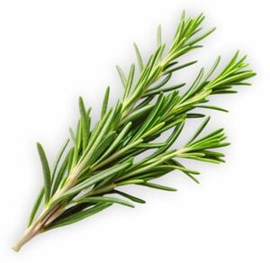 Aromatický vankúš Rosemary 50x70 cm EMI