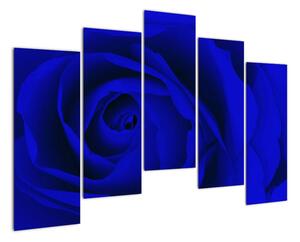 Detail modré ruže - obraz (Obraz 125x90cm)