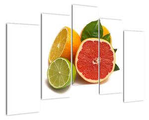 Citrusové plody - obraz (Obraz 125x90cm)