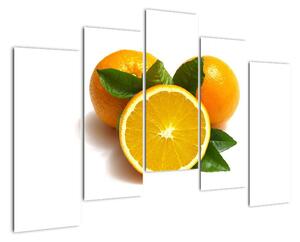 Pomaranče - obraz (Obraz 125x90cm)