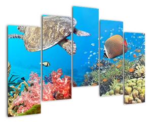 Podmorský svet, obraz (Obraz 125x90cm)