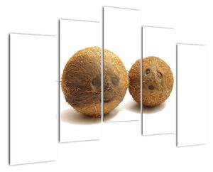 Kokosový orech, obraz (Obraz 125x90cm)