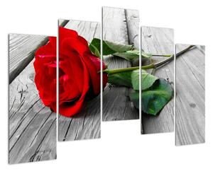 Obraz ruže (Obraz 125x90cm)