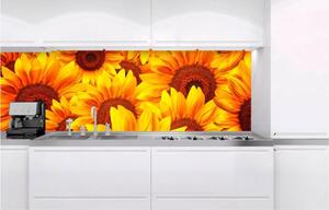 Samolepiace tapety za kuchynskú linku, rozmer 180 cm x 60 cm, slnečnice, DIMEX KI-180-051