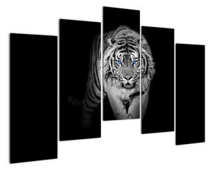 Čiernobiely lev - obraz (Obraz 125x90cm)