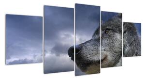 Obraz vlka (Obraz 150x70cm)