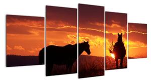 Obraz - kone pri západe slnka (Obraz 150x70cm)