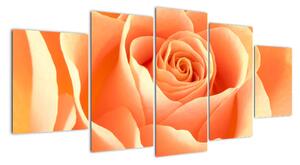 Obraz oranžové ruže (Obraz 150x70cm)