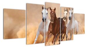 Obrazy bežiacich koní (Obraz 150x70cm)