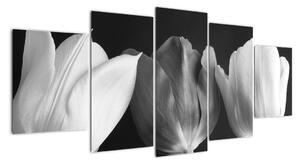 Čiernobiely obraz - tri tulipány (Obraz 150x70cm)