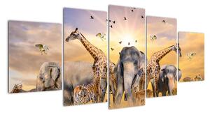Obraz - safari (Obraz 150x70cm)