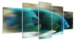 Obraz na stenu - ryby (Obraz 150x70cm)