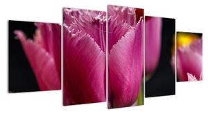 Tulipány - obrazy (Obraz 150x70cm)