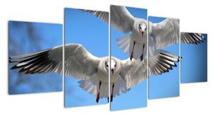 Obraz do bytu - vtáky (Obraz 150x70cm)