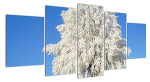 Zasnežený strom - obraz (Obraz 150x70cm)