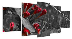 Červené kvety - moderné obrazy (Obraz 150x70cm)