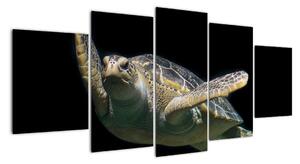 Obraz plávajúce korytnačky (Obraz 150x70cm)