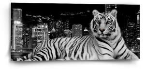 Sablio Obraz Mestský tiger - 110x50 cm