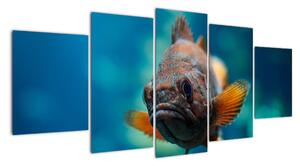 Obraz - ryba (Obraz 150x70cm)