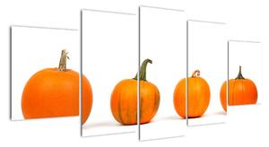 Obraz - oranžové tekvice (Obraz 150x70cm)