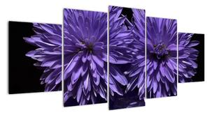 Obraz fialových kvetov (Obraz 150x70cm)